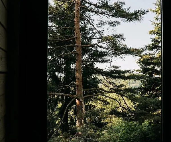 Mountain Azzy, Surrounded By Ultimate Peace!